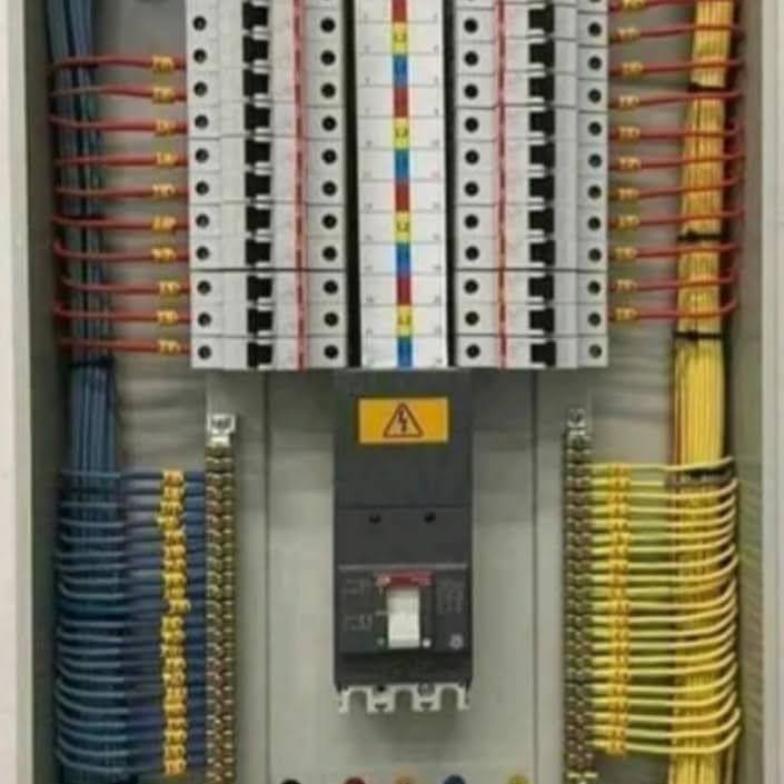 Electrical Audits